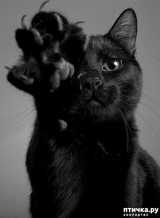 ���� 12: ������� � �������