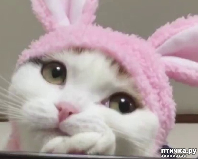 ���� 27: ���������