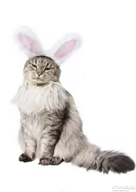 ���� 28: ���������