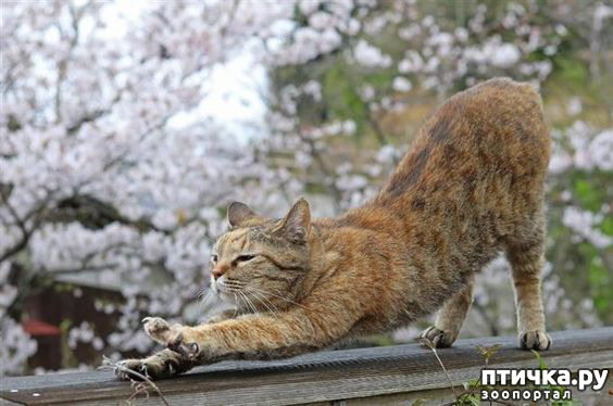 ���� 15: ������� � �������