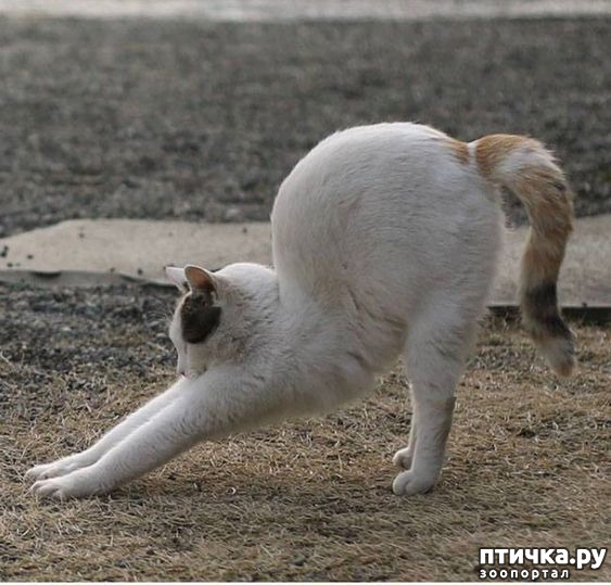 ���� 16: ������� � �������