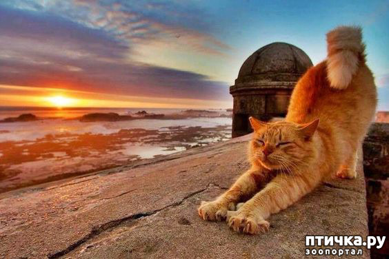 ���� 17: ������� � �������