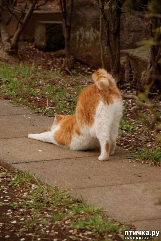 ���� 19: ������� � �������