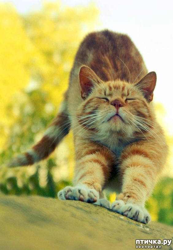 ���� 22: ������� � �������