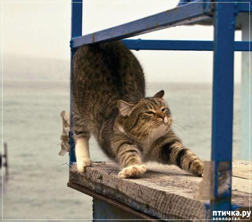 ���� 23: ������� � �������