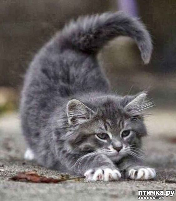 ���� 14: ������� � �������