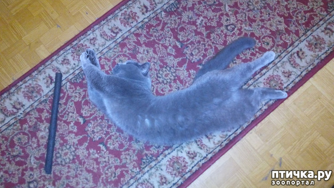 ���� 21: ������� � �������