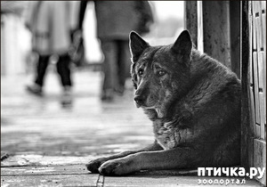 ����: �������� ��������� ���.