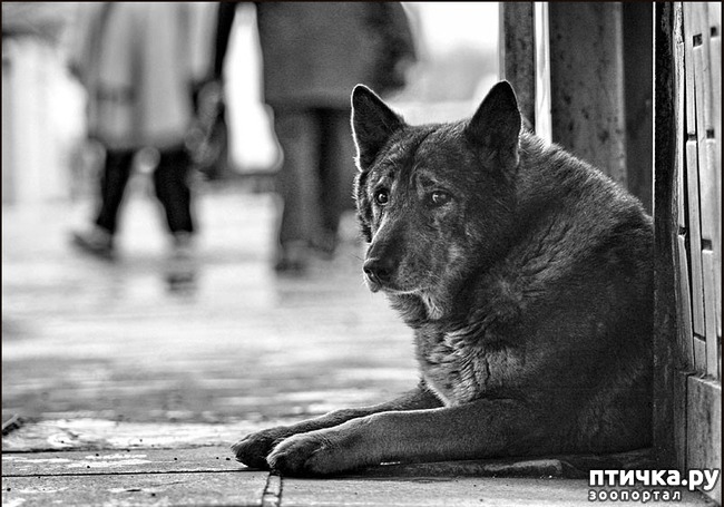 ���� 1: �������� ��������� ���.