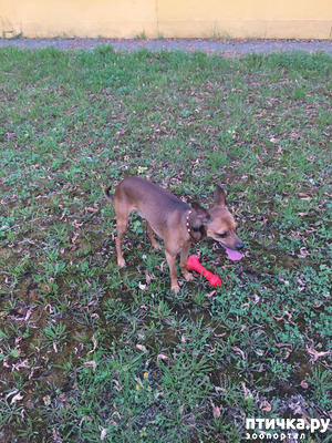 ����: ��������! ������ ����� ����������� � �������� ����� 6������� ������! ������ ����������, ��� ��� ���������! ��� ������?!