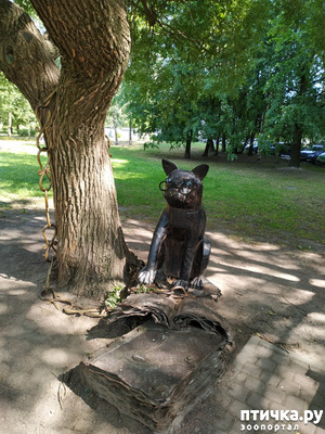 ����: ��� ������