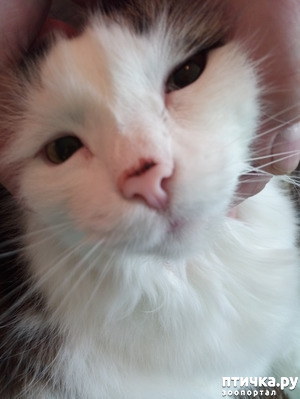 ����: � ���� �� ���� ��������� ������ �����.