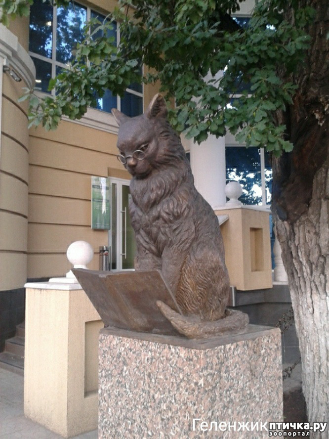 Памятник кот ученый в санкт петербурге
