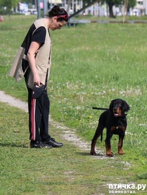 ����: ��� ��� � ��������� � ������...