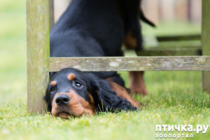 ����: ���� �������-�������. �������, ���� ������ ������, �� � ��������� ��������. �� ����!