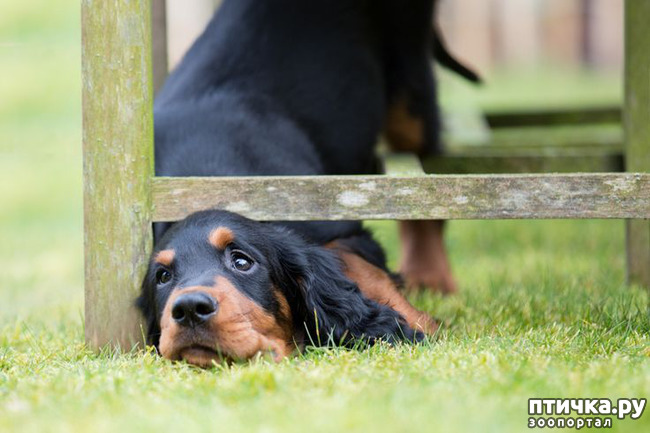 ���� 1: ���� �������-�������. �������, ���� ������ ������, �� � ��������� ��������. �� ����!