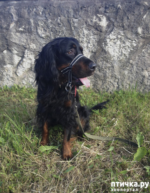 ����: �������� �� ���������� �����.