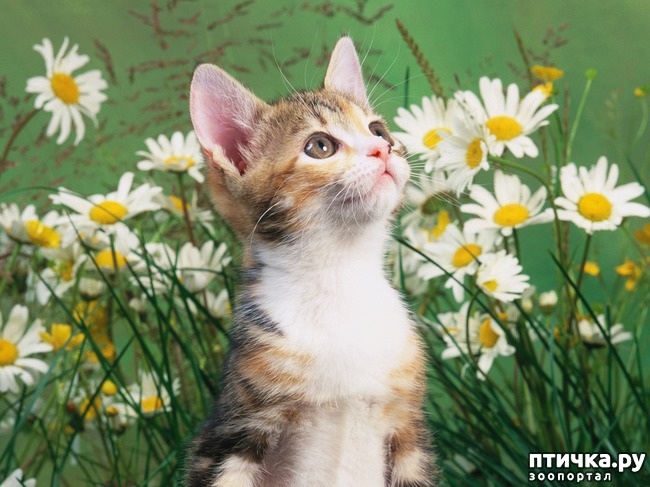 ���� 3: 1 ����� - ������ ���� ����� � ��������� ���� �����!