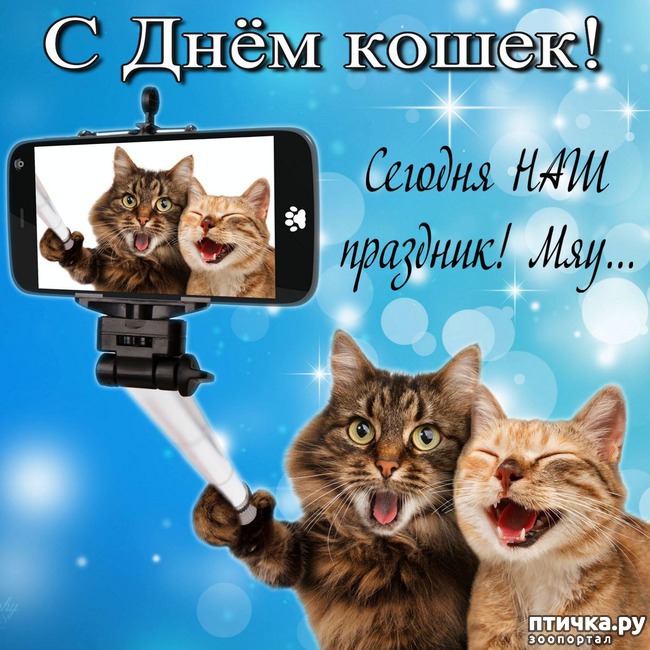 ���� 5: 1 ����� - ������ ���� ����� � ��������� ���� �����!