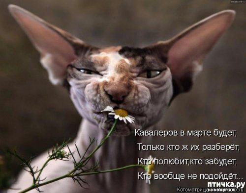 ���� 7: 1 ����� - ������ ���� ����� � ��������� ���� �����!