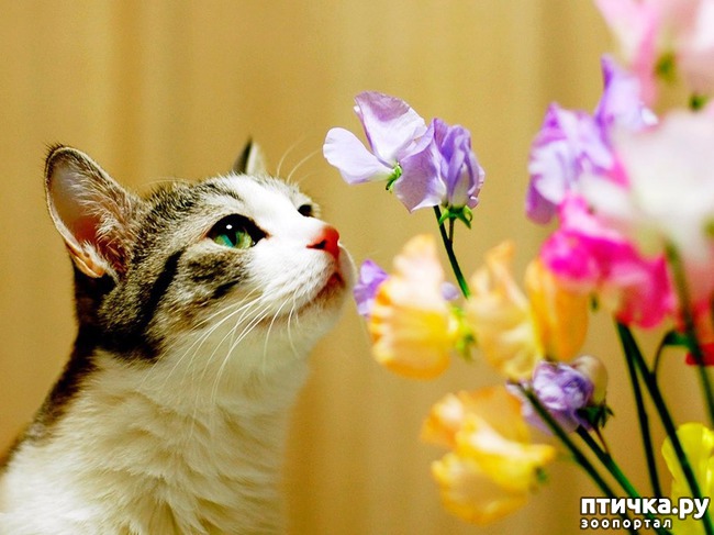 ���� 8: 1 ����� - ������ ���� ����� � ��������� ���� �����!