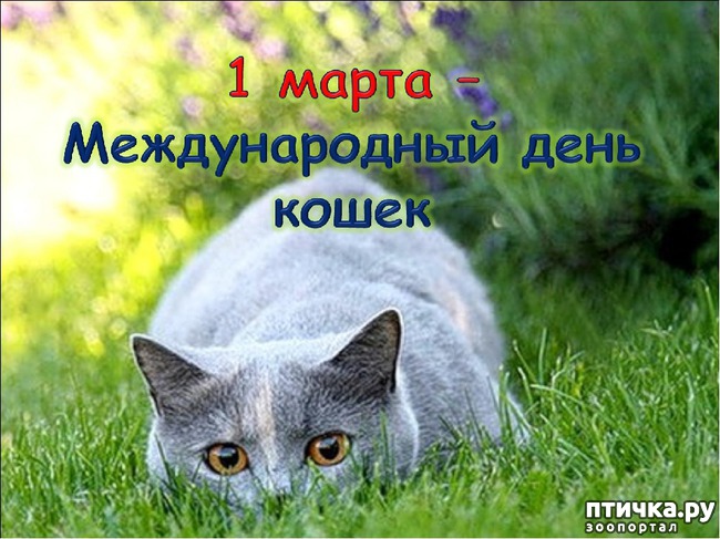 ���� 9: 1 ����� - ������ ���� ����� � ��������� ���� �����!