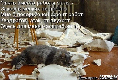 ���� 10: 1 ����� - ������ ���� ����� � ��������� ���� �����!