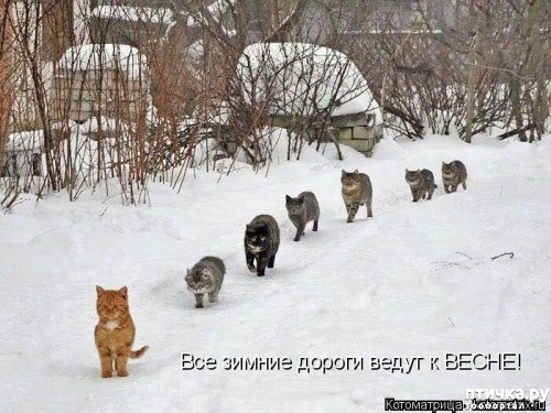 ���� 11: 1 ����� - ������ ���� ����� � ��������� ���� �����!