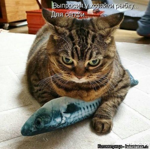 ���� 12: 1 ����� - ������ ���� ����� � ��������� ���� �����!