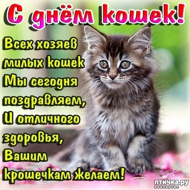 ���� 13: 1 ����� - ������ ���� ����� � ��������� ���� �����!