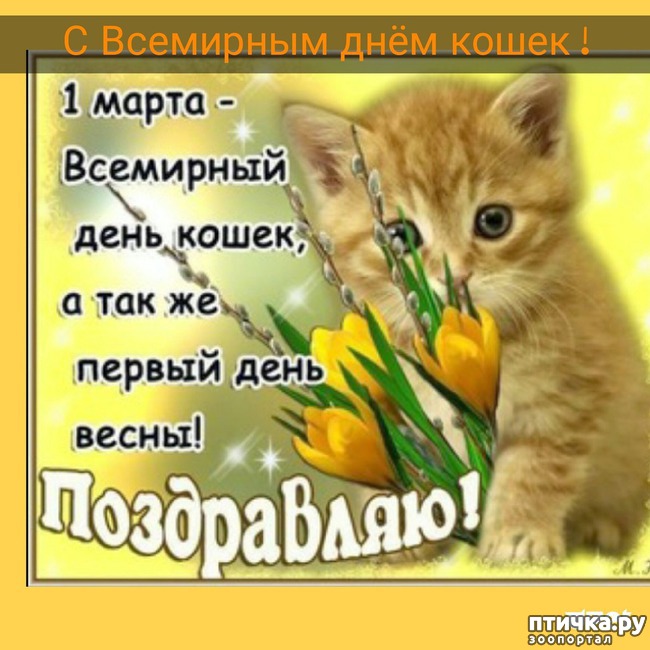 ���� 17: 1 ����� - ������ ���� ����� � ��������� ���� �����!