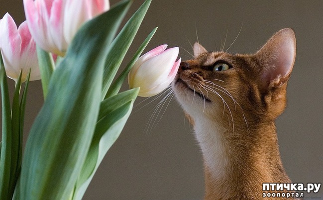 ���� 18: 1 ����� - ������ ���� ����� � ��������� ���� �����!