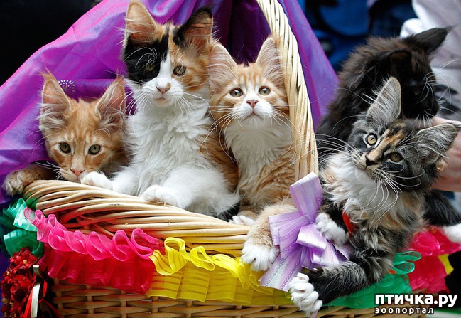 ���� 19: 1 ����� - ������ ���� ����� � ��������� ���� �����!