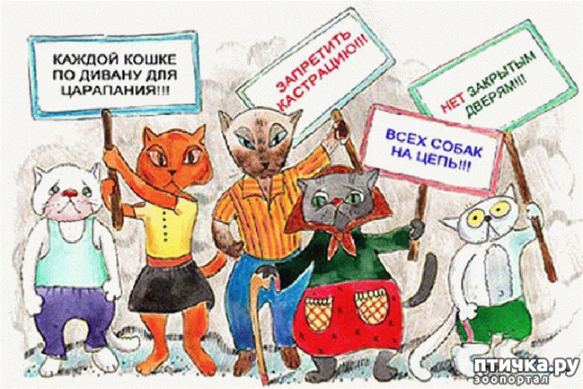 ���� 20: 1 ����� - ������ ���� ����� � ��������� ���� �����!