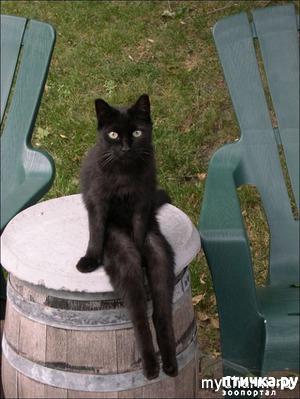 ���� 1: ��� �� ���� �������, ��� ��� � �������)