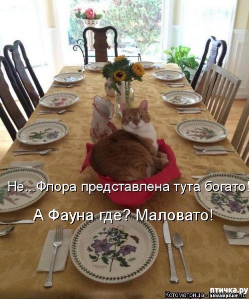 ���� 14: 1 ����� - ������ ���� ����� � ��������� ���� �����!