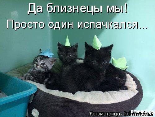 ���� 16: 1 ����� - ������ ���� ����� � ��������� ���� �����!