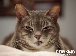 ����: #��� ���� � ���������