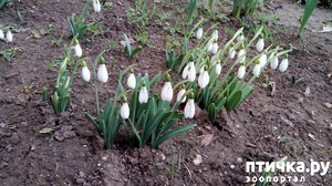 ����: ��������� � 8 �����