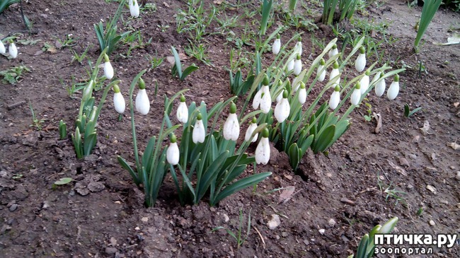 ���� 1: ��������� � 8 �����