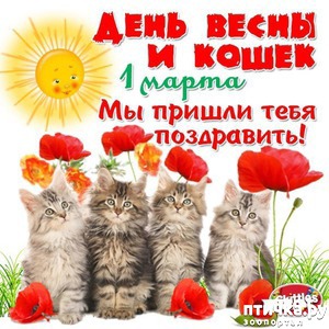 ����: 1 ����� - ������ ���� ����� � ��������� ���� �����!