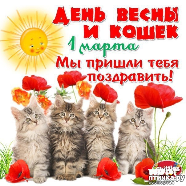 ���� 1: 1 ����� - ������ ���� ����� � ��������� ���� �����!