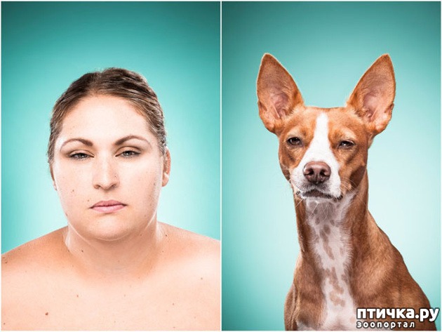 ���� 3: ������������ ������ � �� �����.