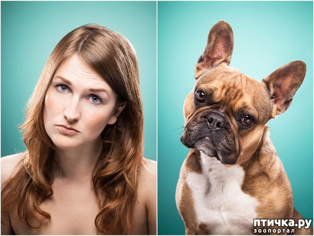 ���� 6: ������������ ������ � �� �����.