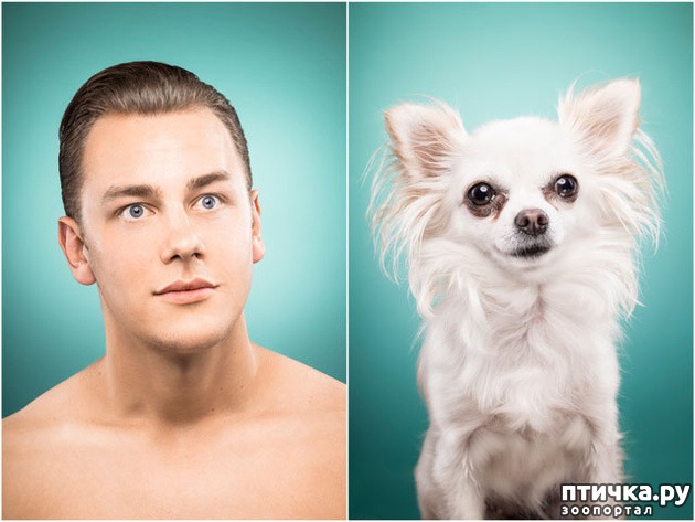 ���� 7: ������������ ������ � �� �����.