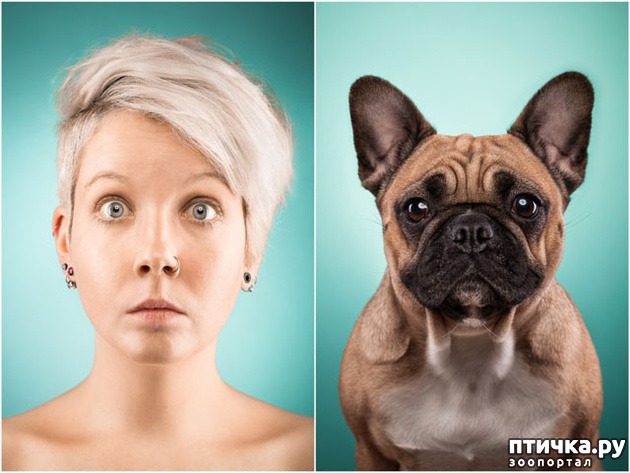 ���� 11: ������������ ������ � �� �����.