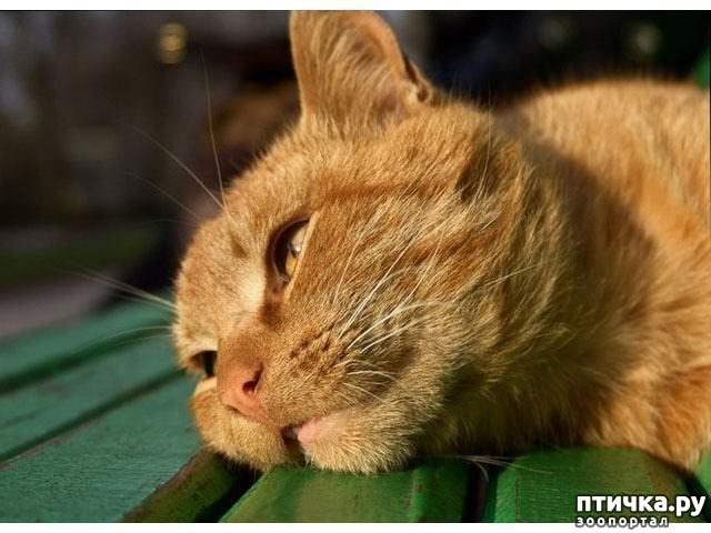 ���� 2: #���� ��� ����, � ���� ��� ����