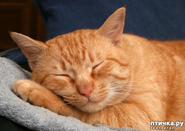 ���� 3: #���� ��� ����, � ���� ��� ����