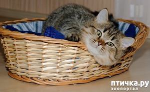 ����: #��� ���, �������� ����� � �������