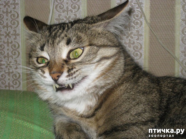 ���� 8: #��� ���, �������� ����� � �������